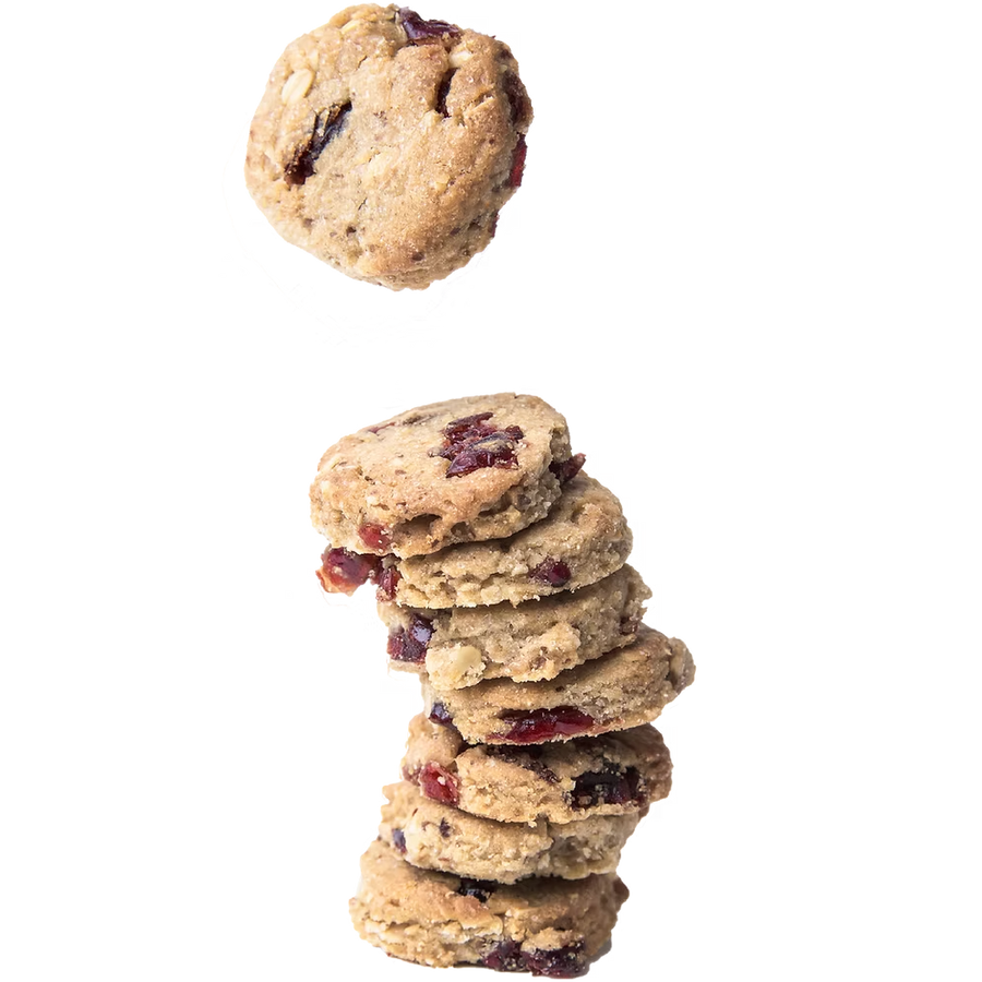 SLB Cranberries Lactation Cookies (200g)