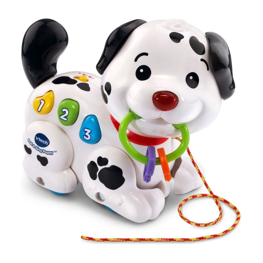 VTech Pull & Sing Puppy