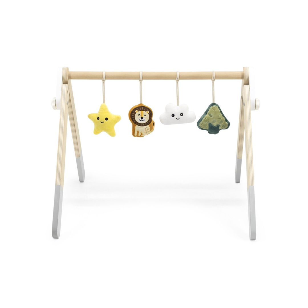 Polarb Baby Play Gym