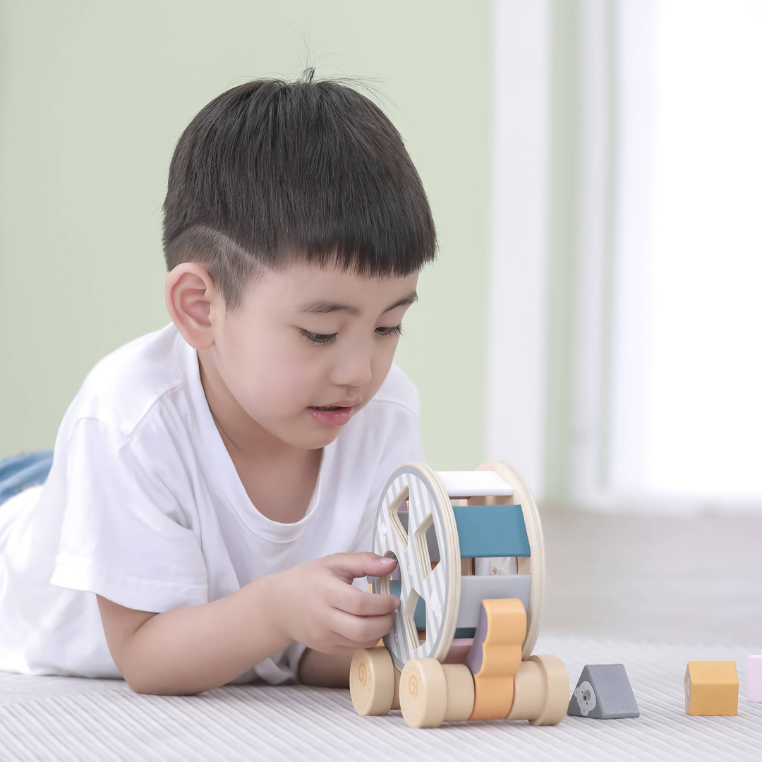 Polarb Hedgehog w/ Sorting Wheel