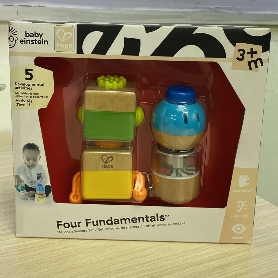 Hape Baby Einstein Four Fundamental Wooden Sensory Blocks