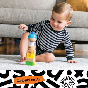 Hape Baby Einstein Four Fundamental Wooden Sensory Blocks