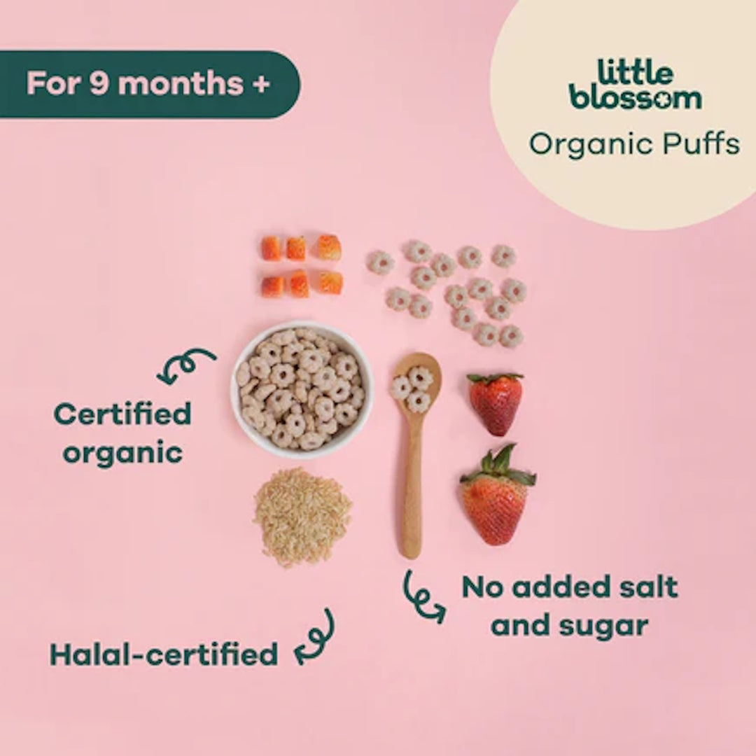 Little Blossom Mini Organic Strawberry Puffs (Bundle of 10 packs)