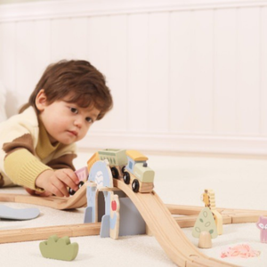 Polarb Fun Park Train Set (62 pcs)