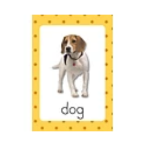 ELM North Parade Flash Card Gift Set - First Learning