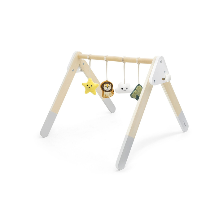 Polarb Baby Play Gym