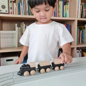 PlanToys Classic Train