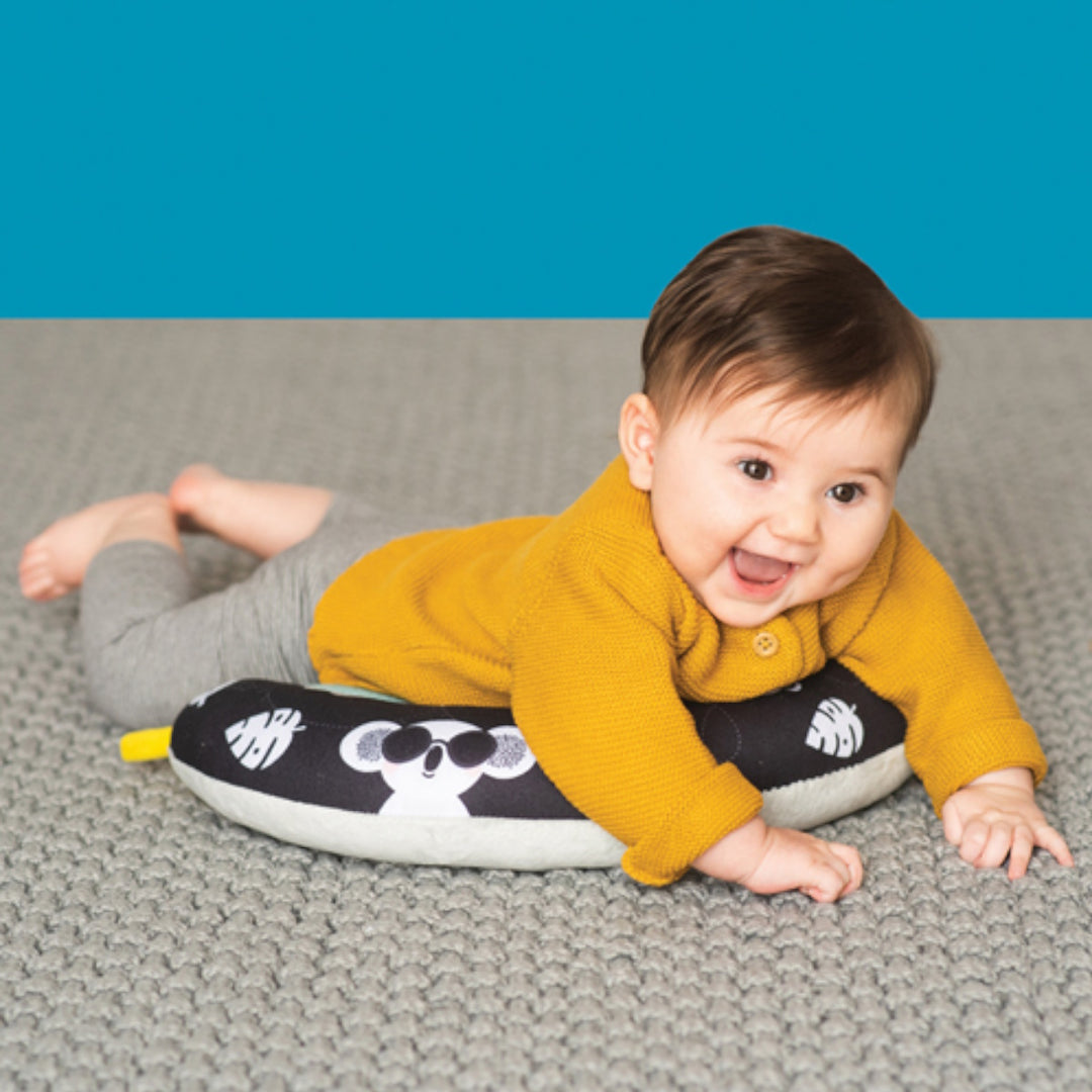 Taf Toys 2 in 1 Tummy time pillow