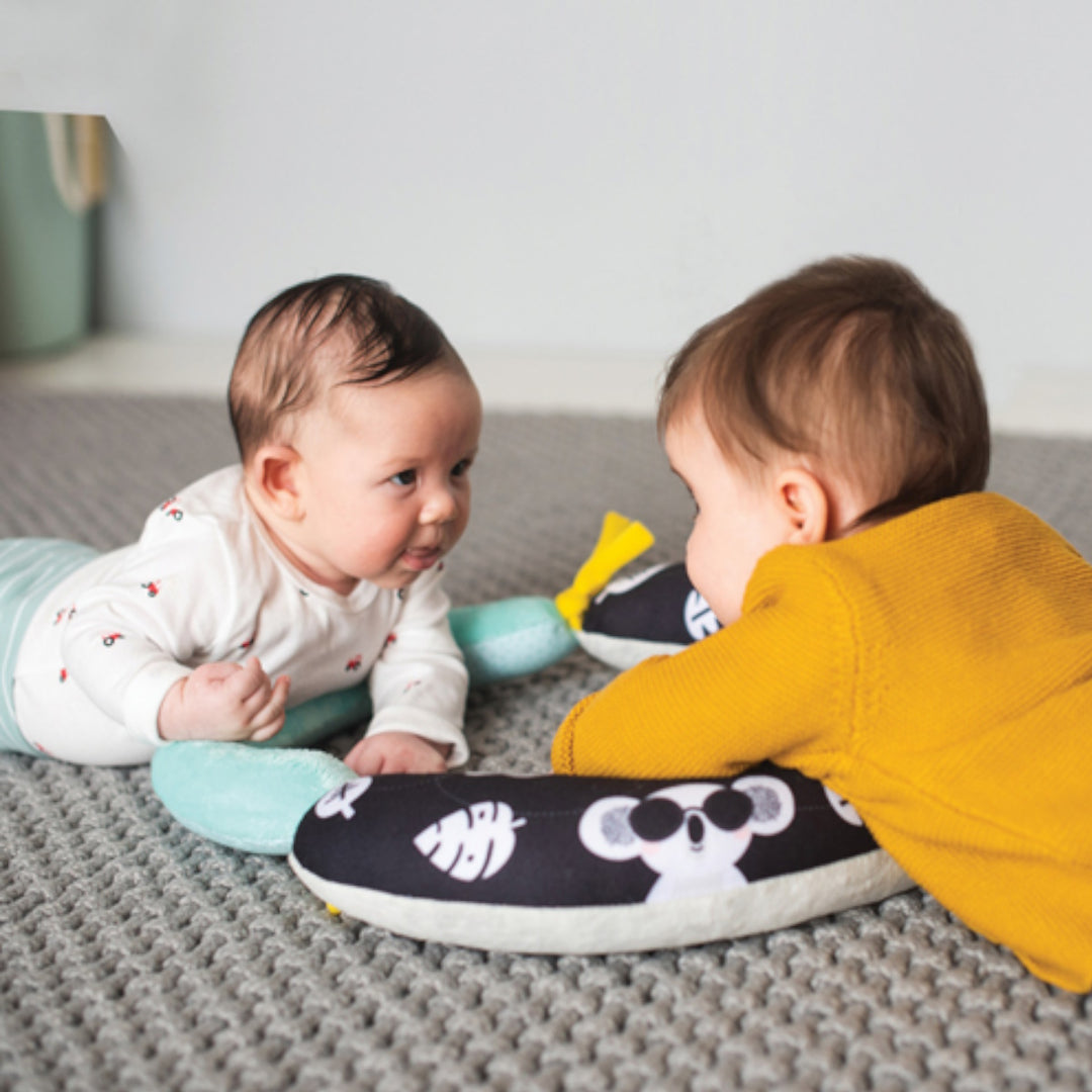 Taf Toys 2 in 1 Tummy time pillow
