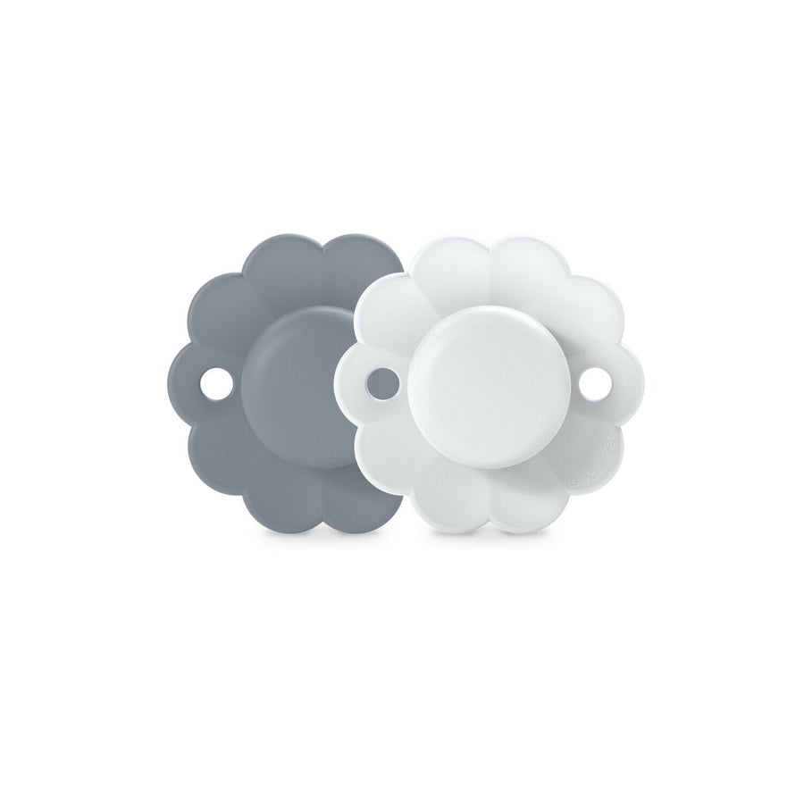 Suavinex Wonder SX Pro reversible soother 0-6 months, 2 pack, Spring Lake and Illusion Blue