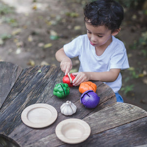 PlanToys 5 Colours Veggie Set
