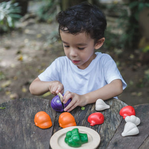 PlanToys 5 Colours Veggie Set