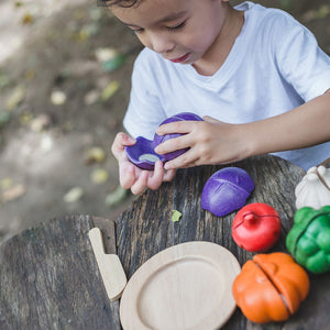 PlanToys 5 Colours Veggie Set