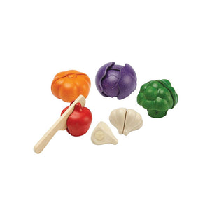 PlanToys 5 Colours Veggie Set