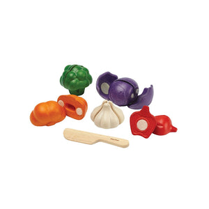 PlanToys 5 Colours Veggie Set