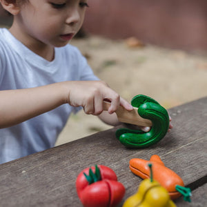 PlanToys Wonky Fruit & Vegetables