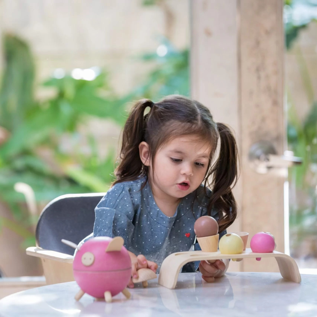 PlanToys Ice Cream Set