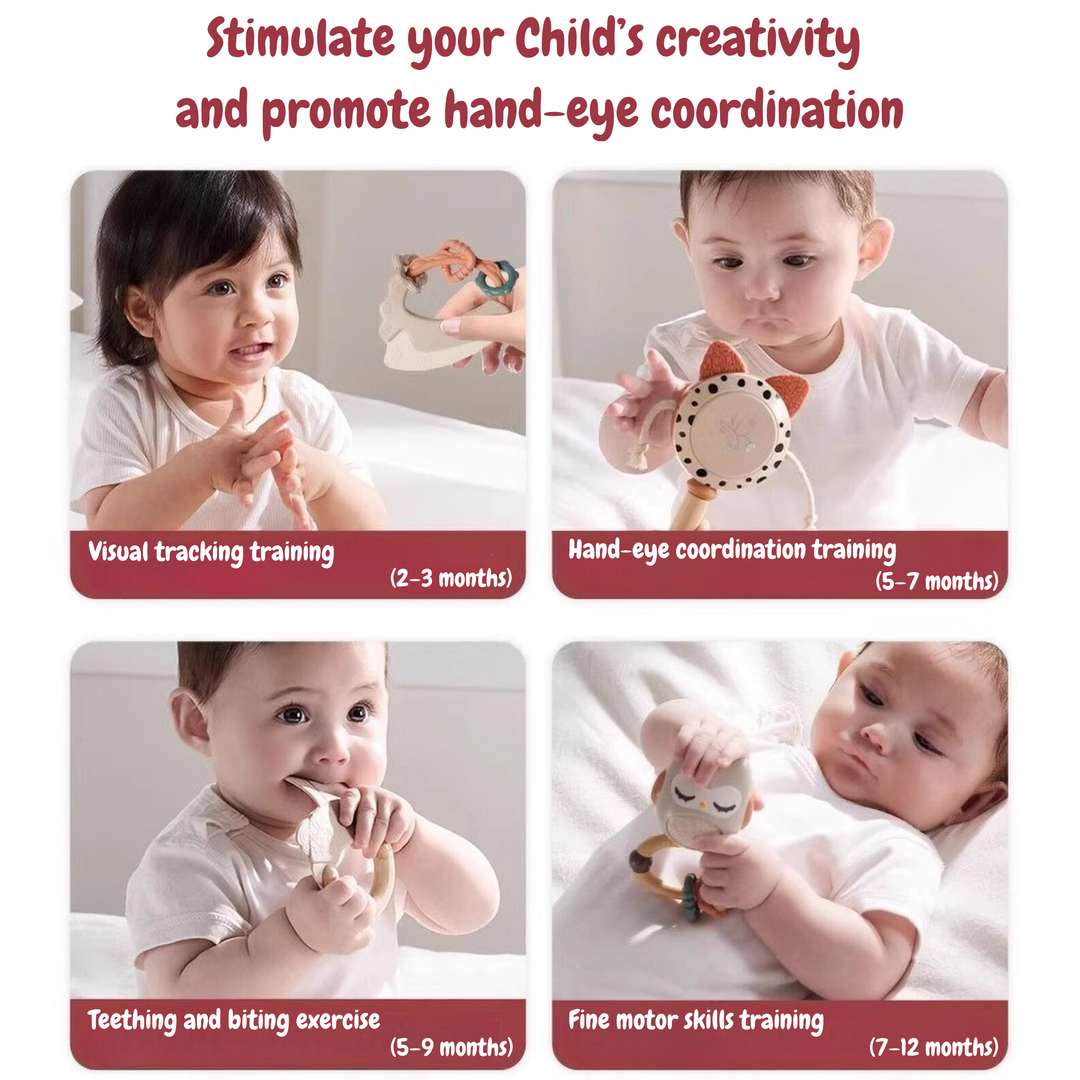 Royalcare Teether Gift Set