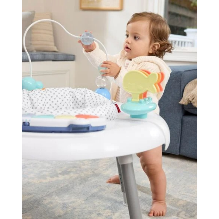 Skip Hop Seascape 2 In 1 Activity Center