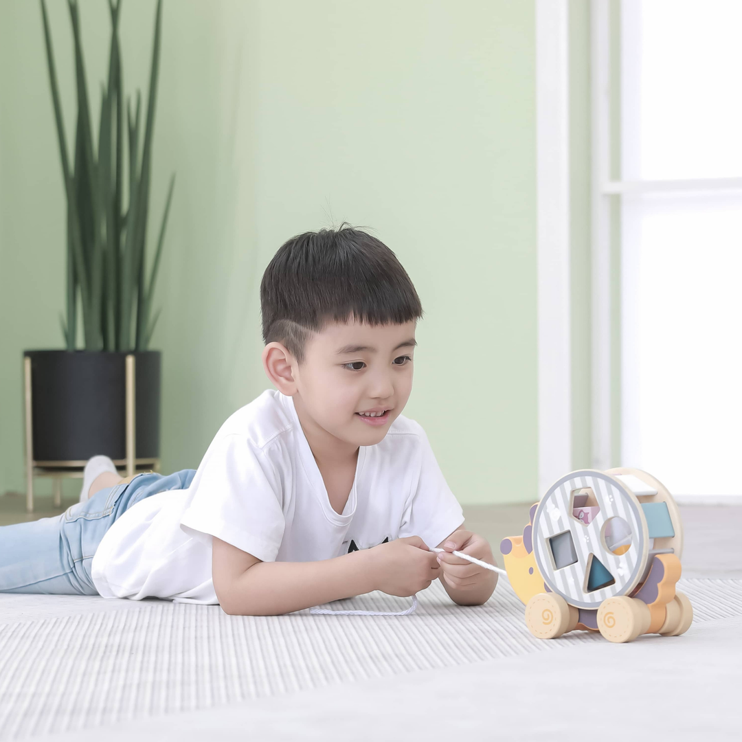 Polarb Hedgehog w/ Sorting Wheel