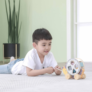 Polarb Hedgehog w/ Sorting Wheel