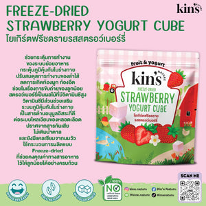 Kin's Nature Freeze-Dried Yogurt Cube
