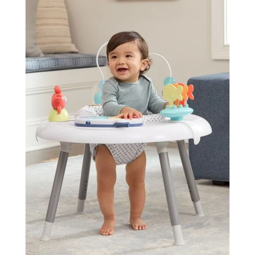 Skip Hop Seascape 2 In 1 Activity Center