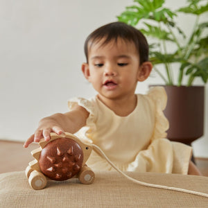 PlanToys Pull-Along Hedgehog Brown - lifestyle
