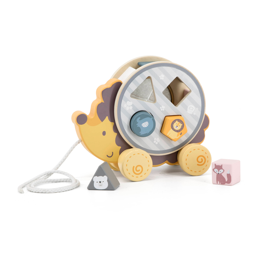Polarb Hedgehog w/ Sorting Wheel