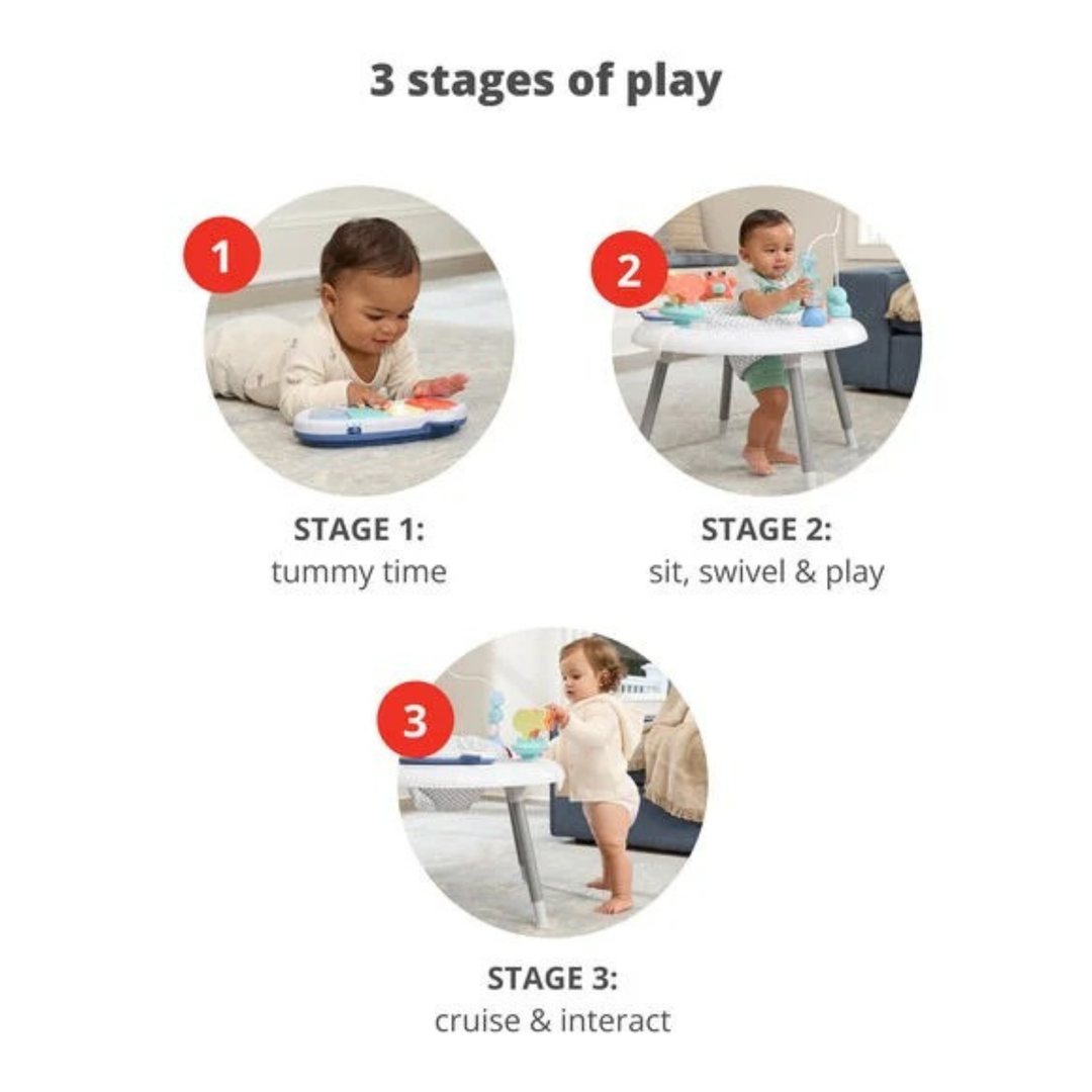Skip Hop Seascape 2 In 1 Activity Center