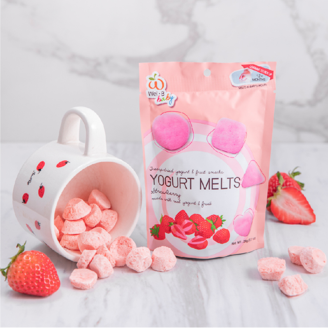 Wel-B Yogurt Melts & Cheese Christmas Set Of 3