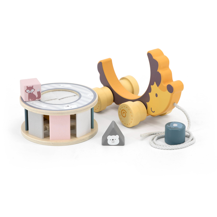 Polarb Hedgehog w/ Sorting Wheel