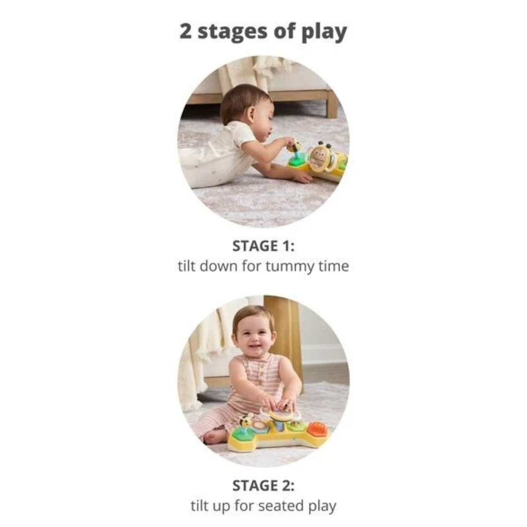 Skip Hop Farmstand See & Bee Steering Wheel