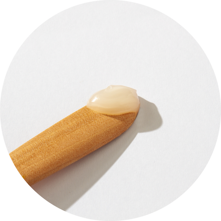 POP Neutral Lip, Nip & Bits