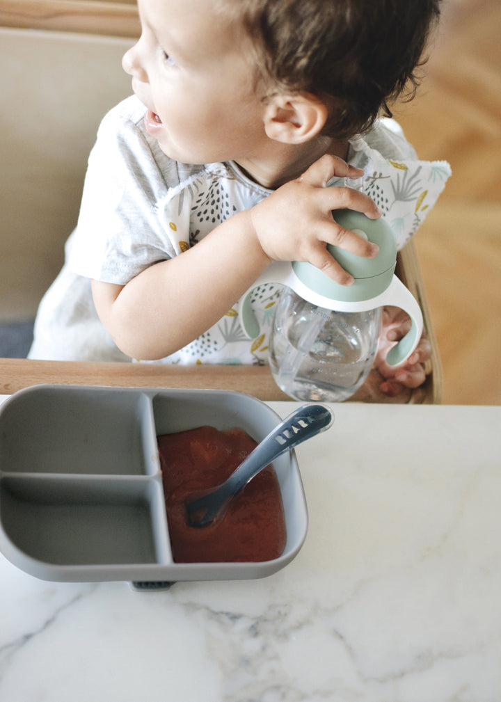 Beaba Silicone Suction Divided Plate