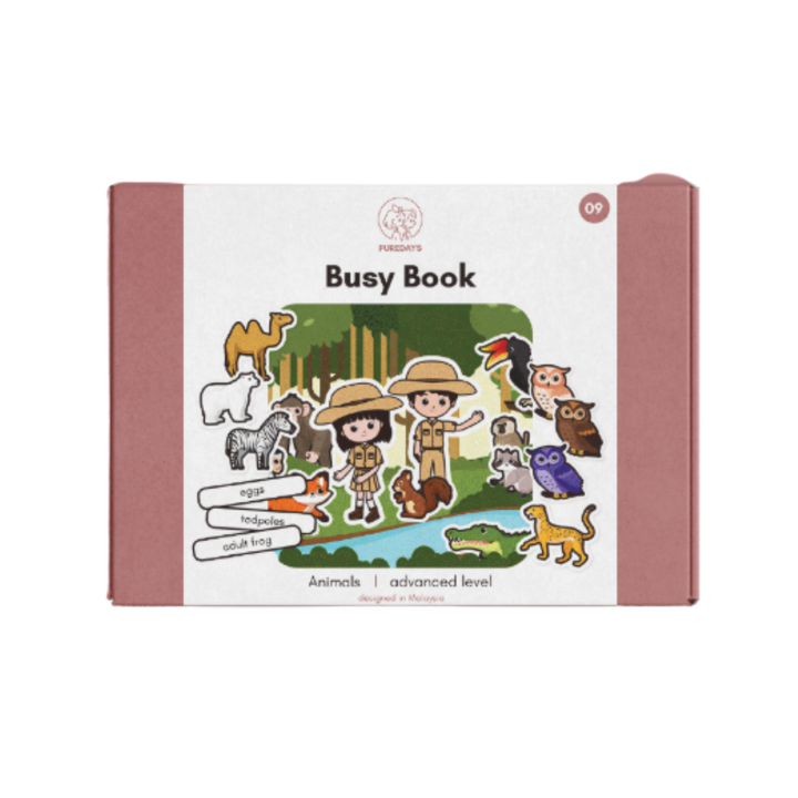 Pure Days Advanced Busy Books