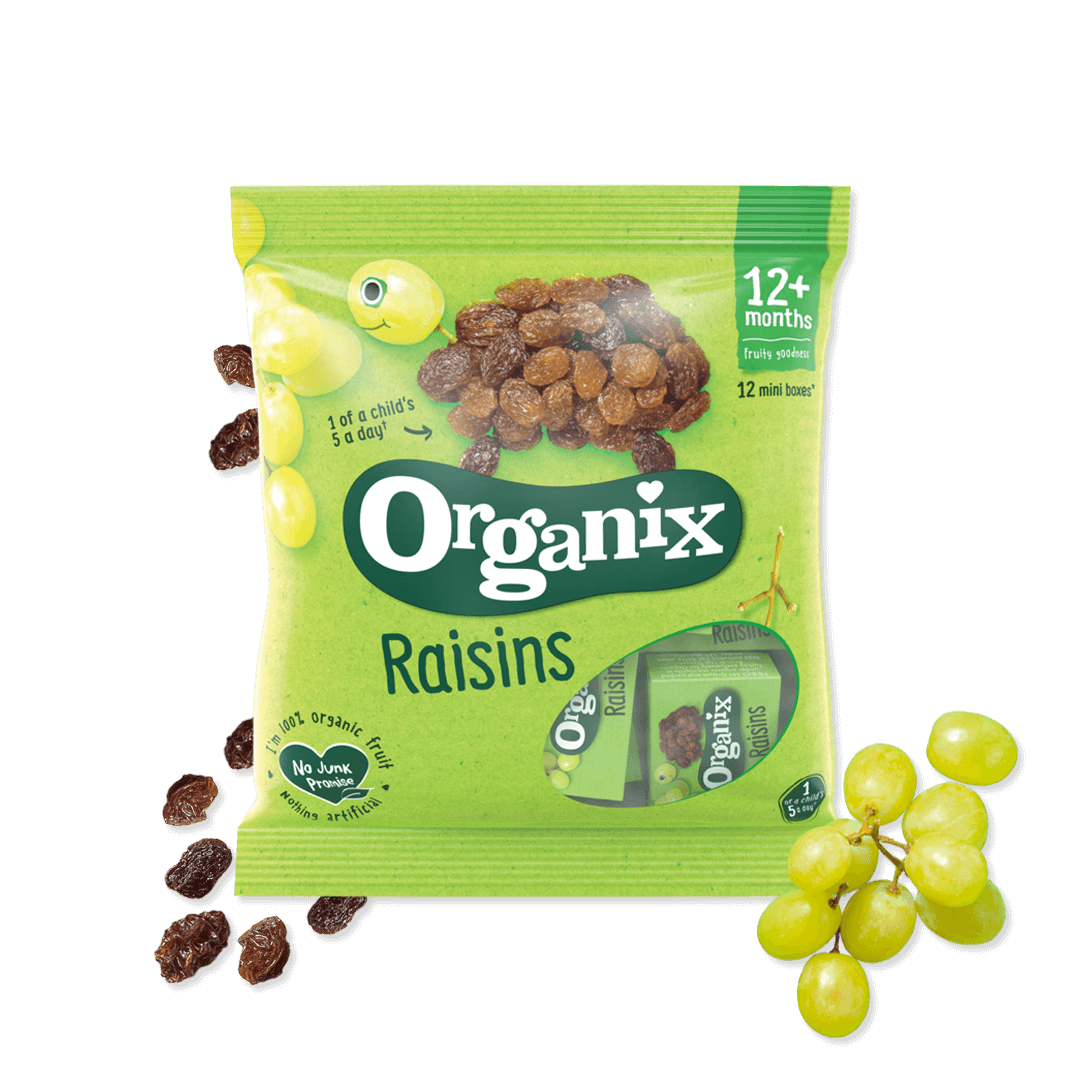 Organix Raisin Mini Box