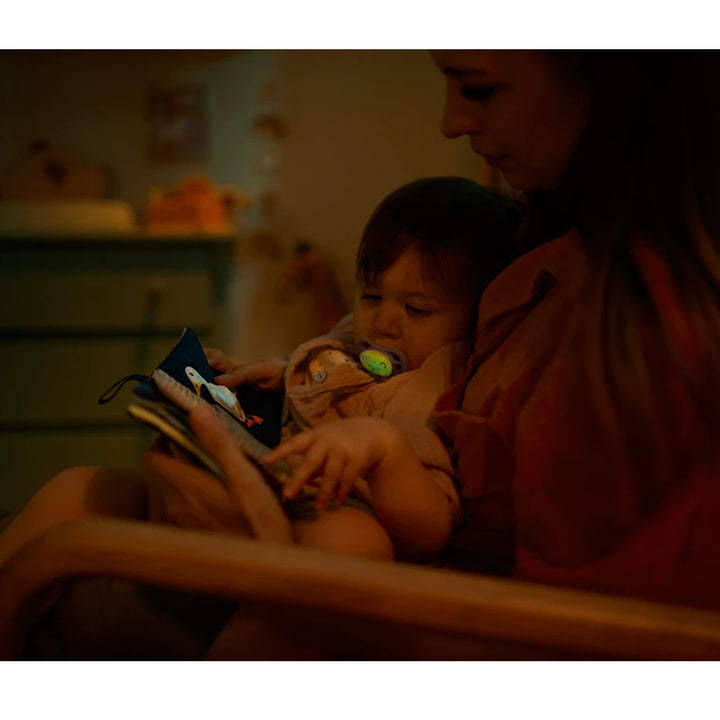 Philips Avent Glow-In-The-Dark Soother 18M+ (2pcs)