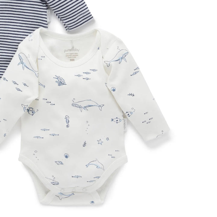 Purebaby Organic 2 Pack Easy Neck L/S Bodysuit - Vanilla Nautical (3-6m)
