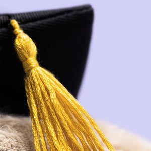 Jellycat Bashful Bunny 'Graduation'