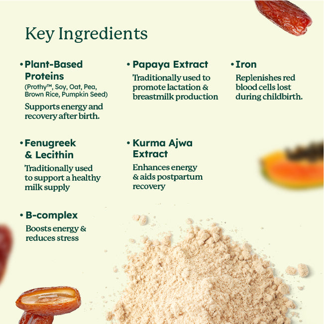 BloomWell™ Lactation Plant Protein Shake with B-Vitamins, Fenugreek & Lecithin