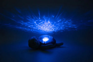 Cloud b Tranquil Turtle projecting its water-effect light in a dark room