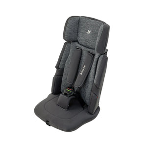 Daiichi Easy Carry 2