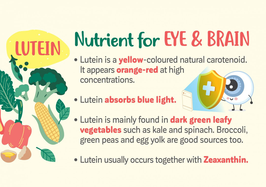 Springhealth Lutein-C 20 sachets