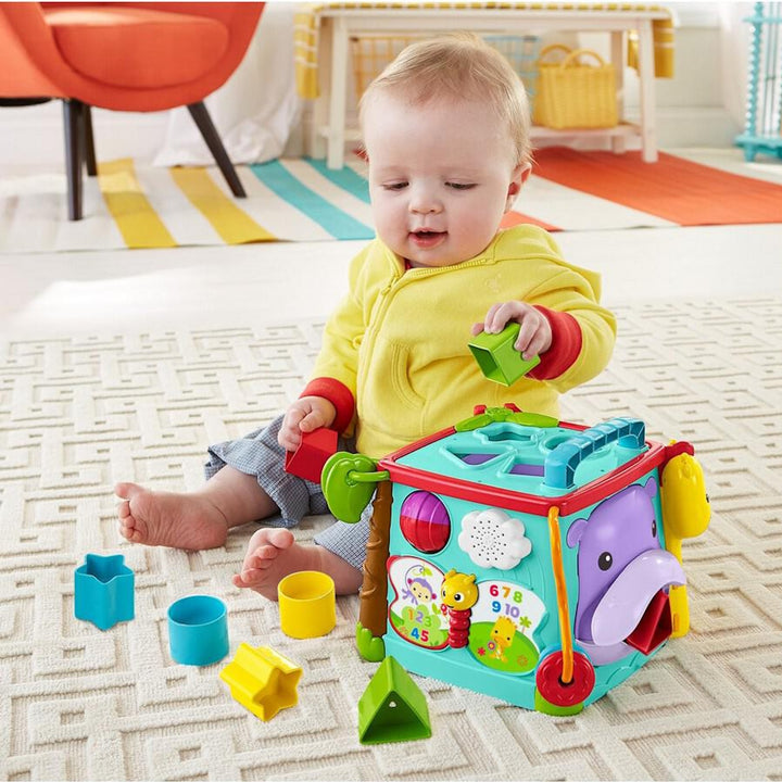 Fisher-Price Infant Busy Box - Use