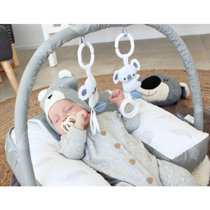 Babyhood Organic Nursing Pillow with Toybar