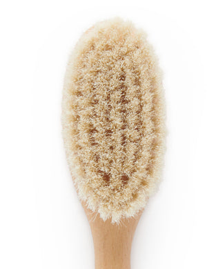 Purebaby Goat Hair Brush with beechwood handle