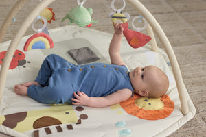 Skip Hop Geometric Wonders Activity Gym
