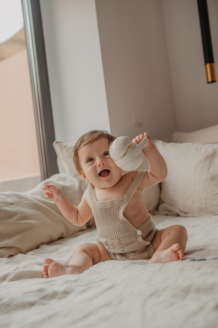 Suavinex Duo Soother Case