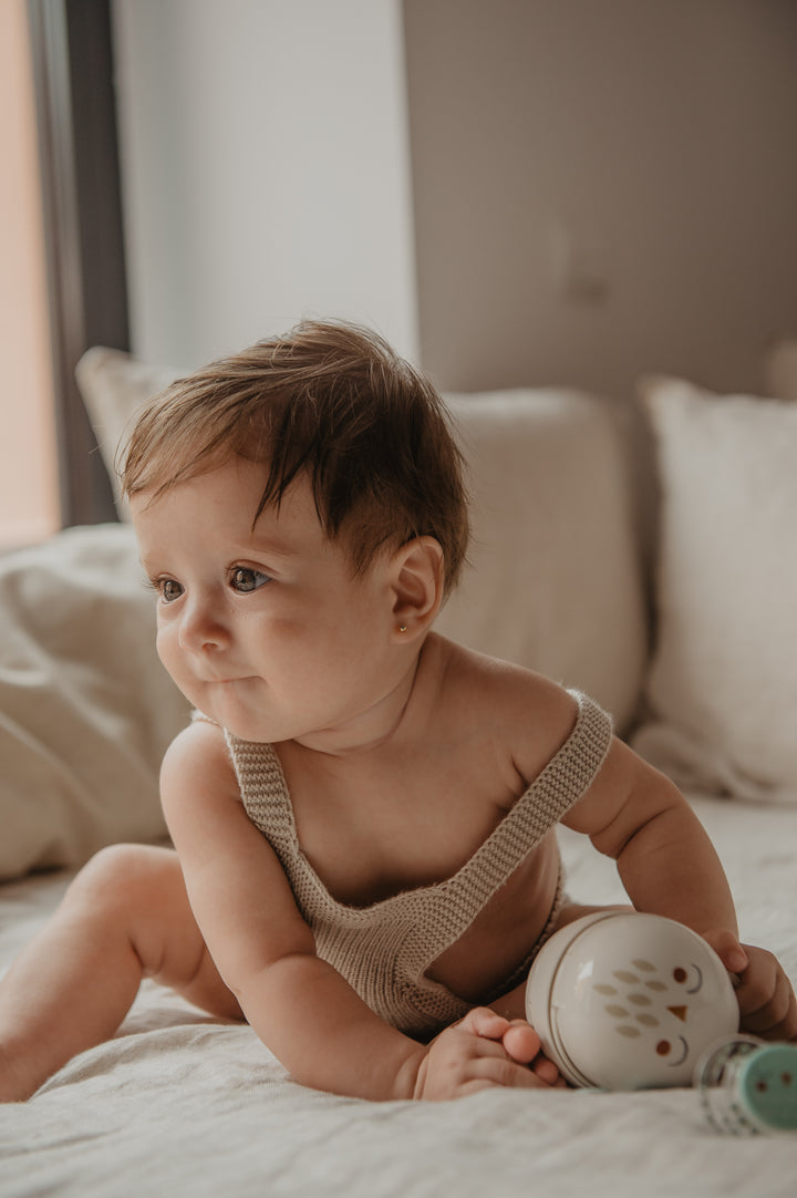 Suavinex Duo Soother Case